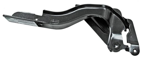 11423 BIZAGRA COFRE LH ~ NISSAN SENTRA 2013 - 2019