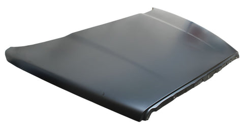 3479 COFRE ~ DODGE DODGE P/U 2002 - 2008